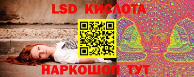 гашик Сертолово