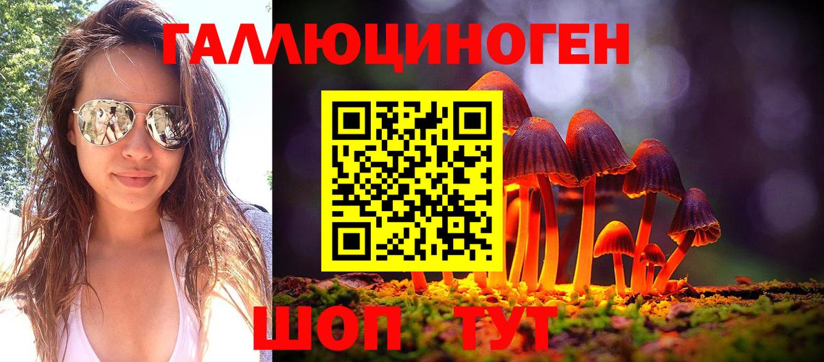 Бахчисарай  Псилоцибиновые грибы MAGIC MUSHROOMS  Вход с VPN 